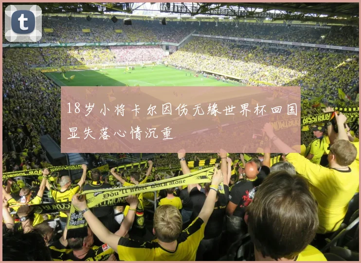 18岁小将卡尔因伤无缘世界杯回国显失落心情沉重