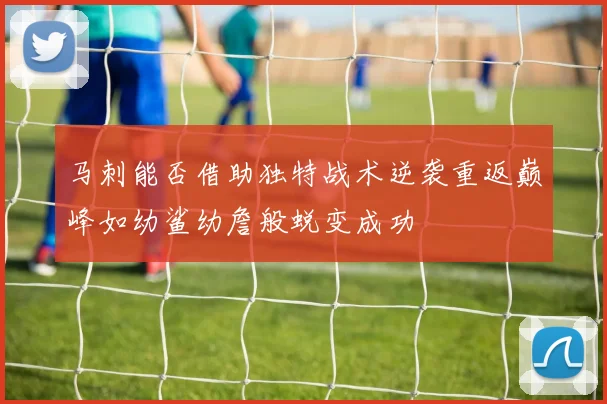 马刺能否借助独特战术逆袭重返巅峰如幼鲨幼詹般蜕变成功