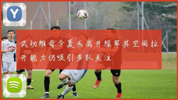 武切维奇今夏或离开绿军其空间拉开能力仍吸引多队关注